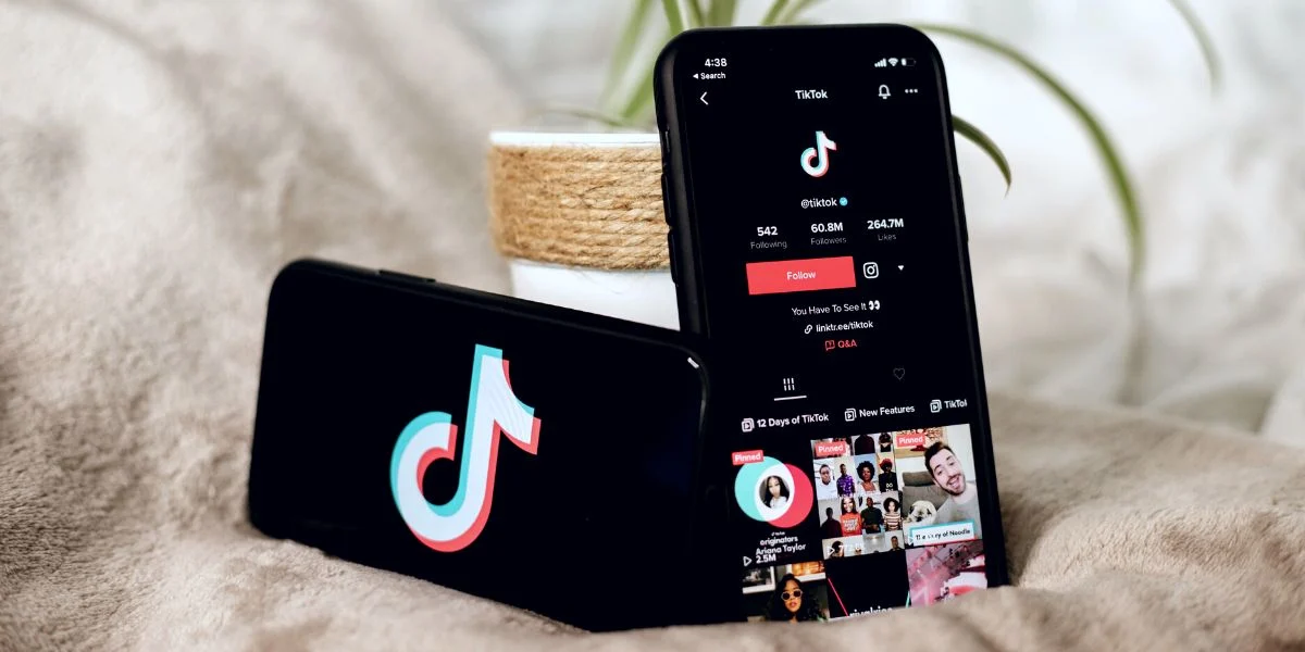 Which TikTok is best for businesses?
